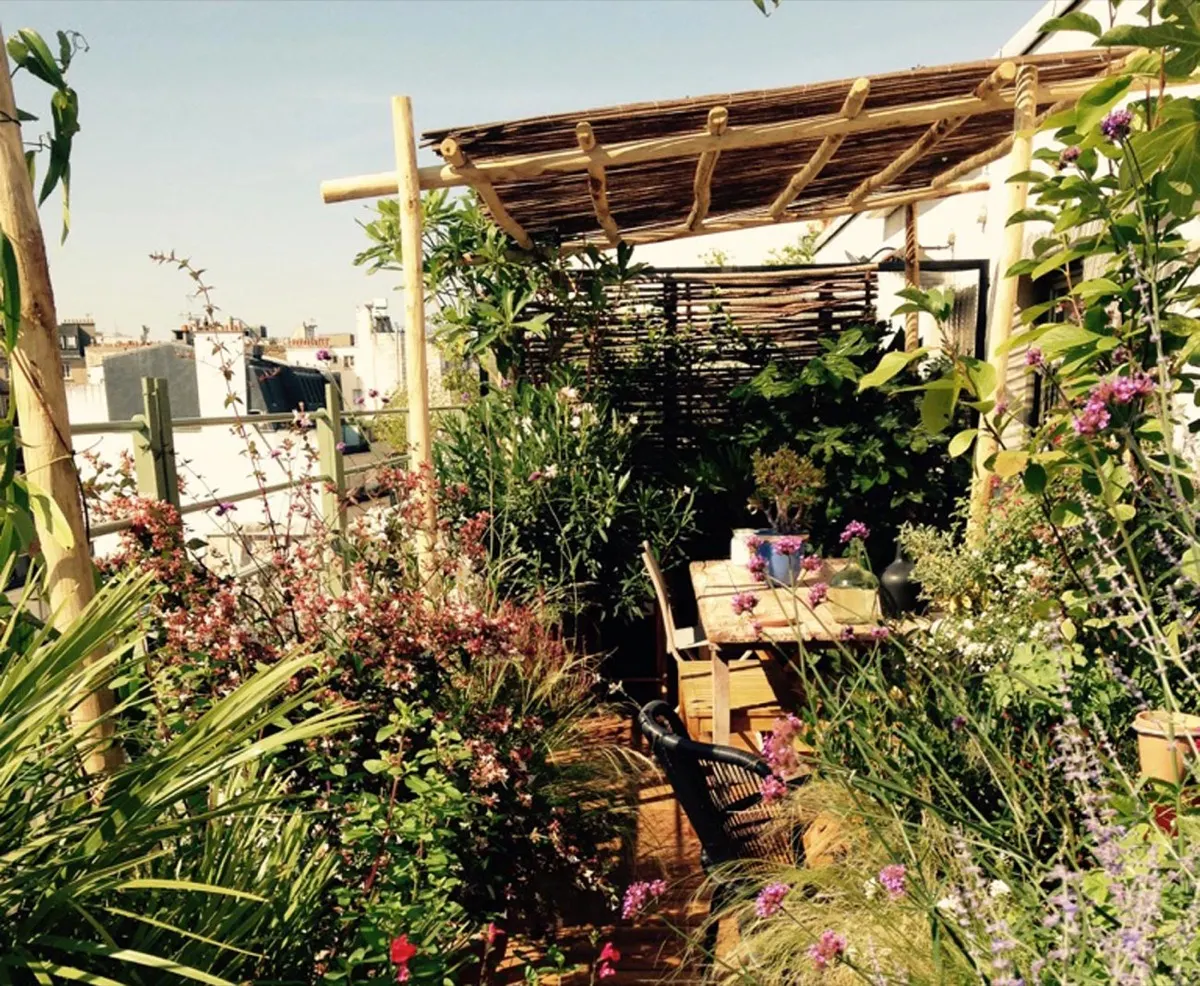 Terrasse parisienne sous pergola, verveines et massifs fleuris