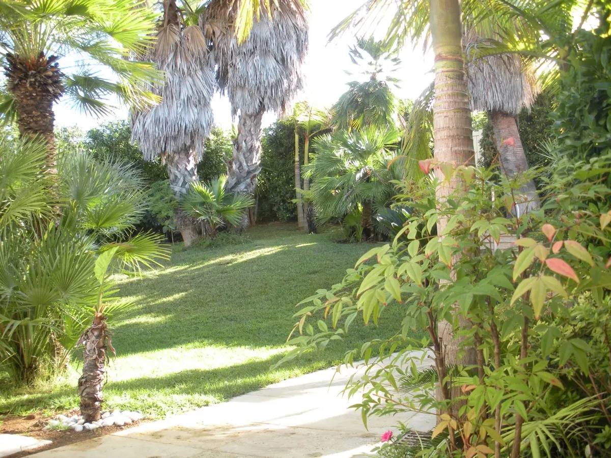 Jardin méditerranéen à Gigaro dans le Var, hibiscus, bougainvillées et vue sur la mer, vue 1