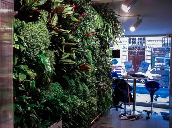 Mur végétal de 6 m² dans une boutique de Paris 18e, philodendrons, fougères et mousses, vue 2