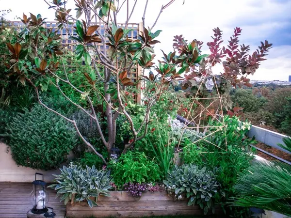 Jardin, terrasse ou balcon réalisé par Swandy Wenker, paysagiste à Paris