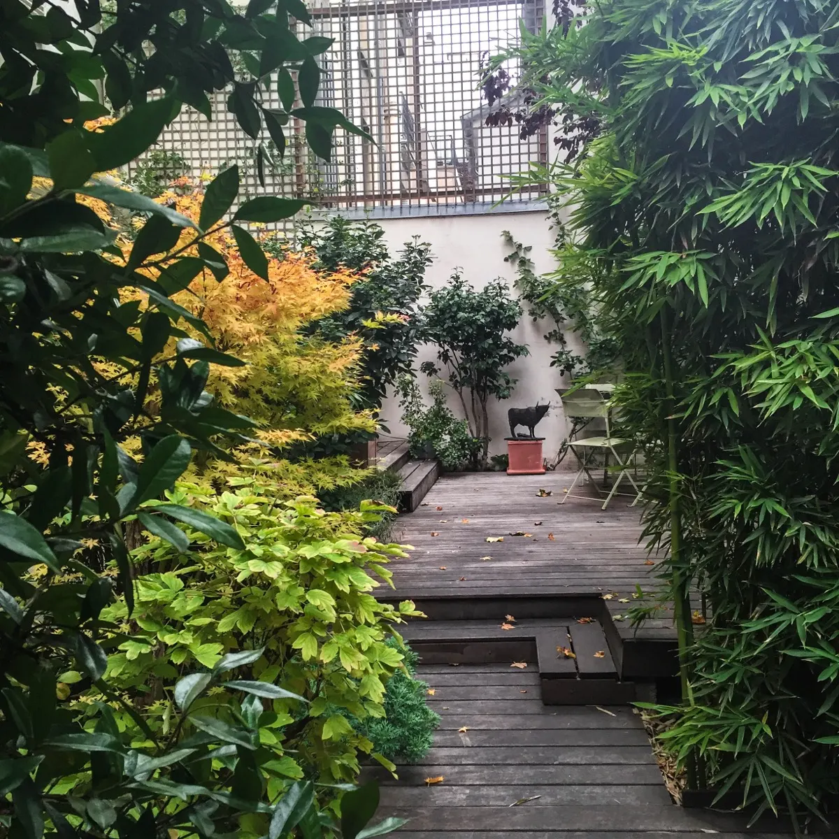 Terrasse en bois de 50 m² à Paris 17e avec clématites, bambous sacrés, camélias et graminées, vue 1