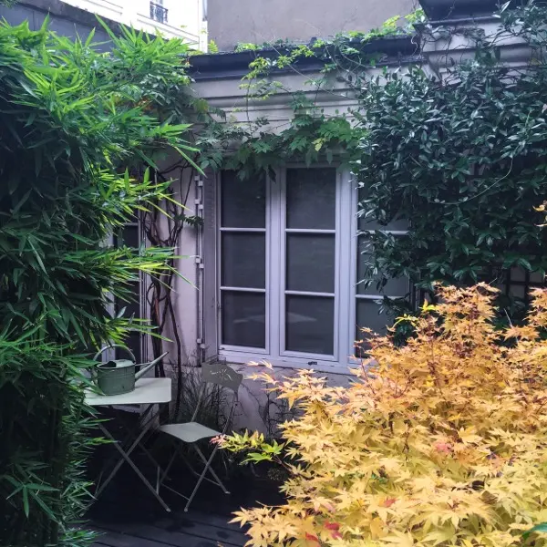 Terrasse en bois de 50 m² à Paris 17e avec clématites, bambous sacrés, camélias et graminées, vue 3