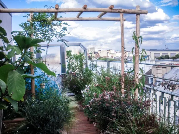 Terrasse en bois à Paris 7e plantée de figuiers, magnolias, arbousiers et abélias, vue 4