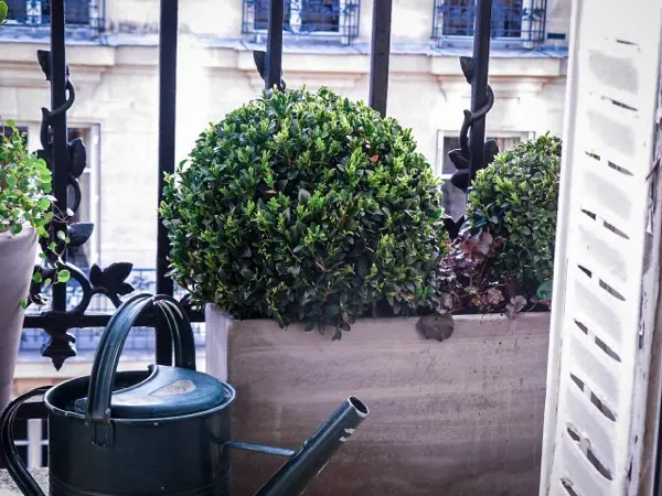 Jardin, terrasse ou balcon réalisé par Swandy Wenker, paysagiste à Paris